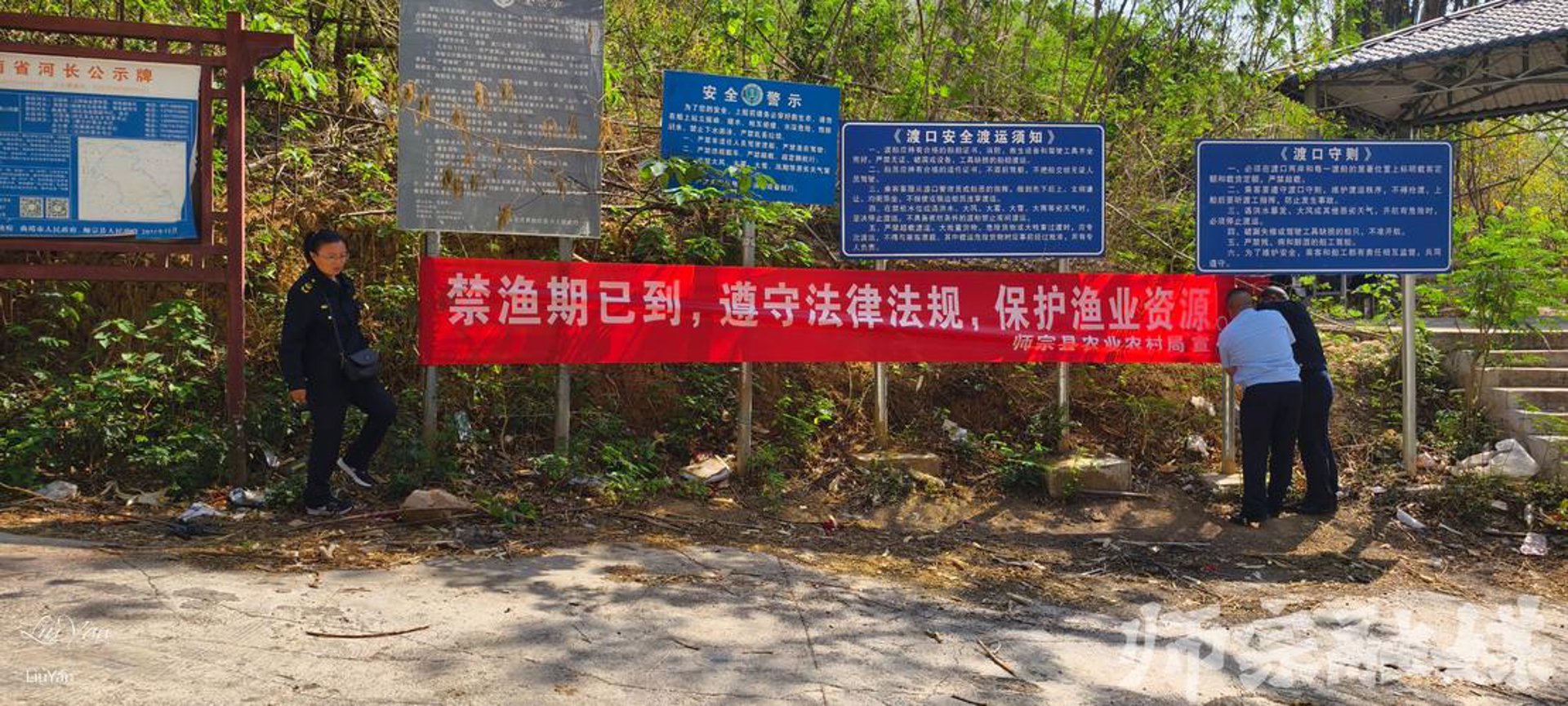 心海花木场